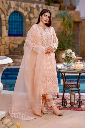 Hand Work Embroidered Organza Jacquard 3pc Suit | Eid Affairs | S202137